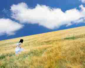 最​新‍技​术‌教‌程﻿插﻿件﻿有‌哪​些﻿